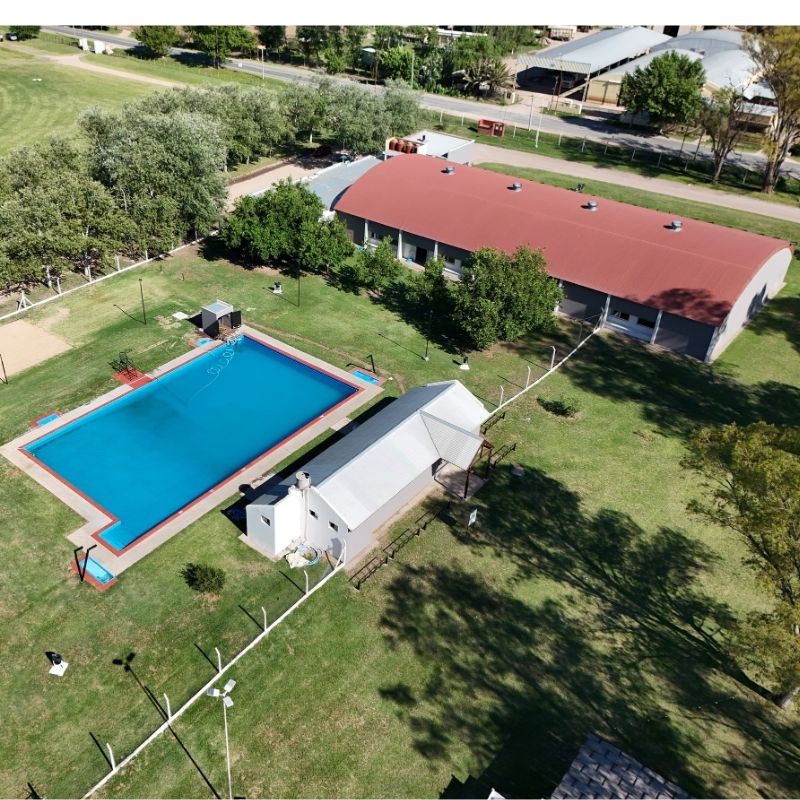 Pileta climatizada municipal